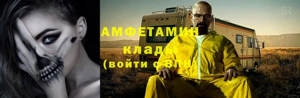 сатива Аркадак