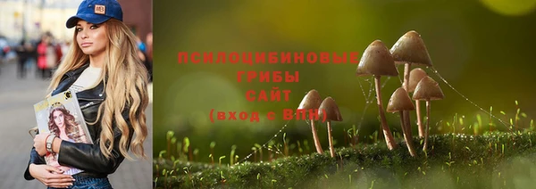ПСИЛОЦИБИНОВЫЕ ГРИБЫ Армянск