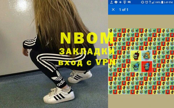 сатива Аркадак