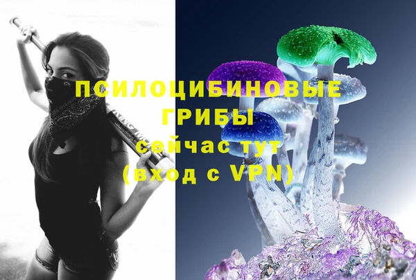 сатива Аркадак