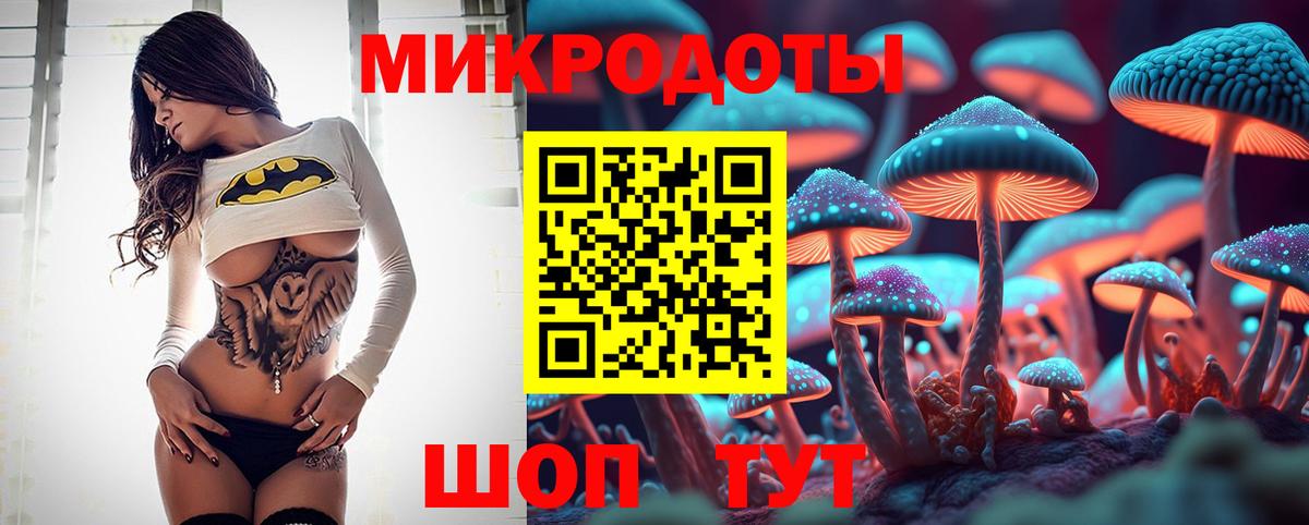 Галлюциногенные грибы мухоморы Белгород
