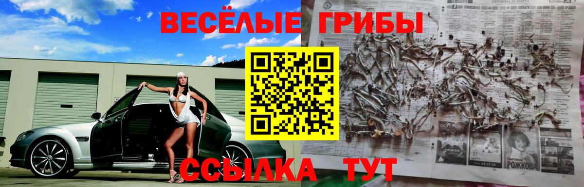 Белгород  Псилоцибиновые грибы GOLDEN TEACHER  Вход с VPN 